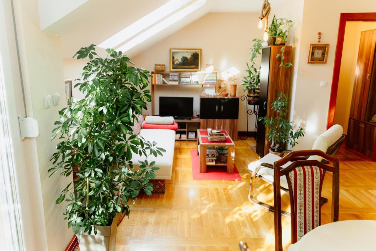 Apartman Zamak Sombor Ngoại thất bức ảnh
